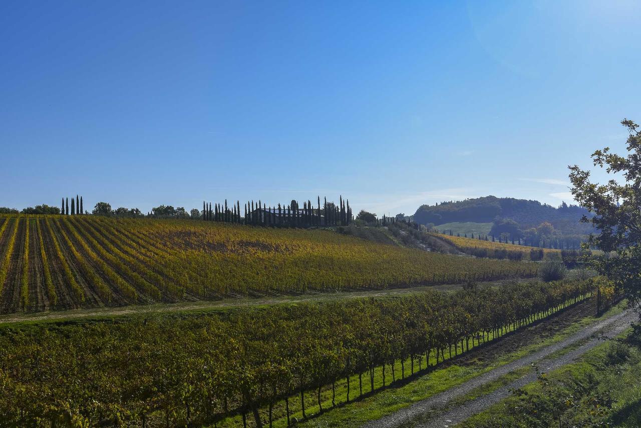 Agroturismo Agriturismo Le Gallozzole Monteriggioni